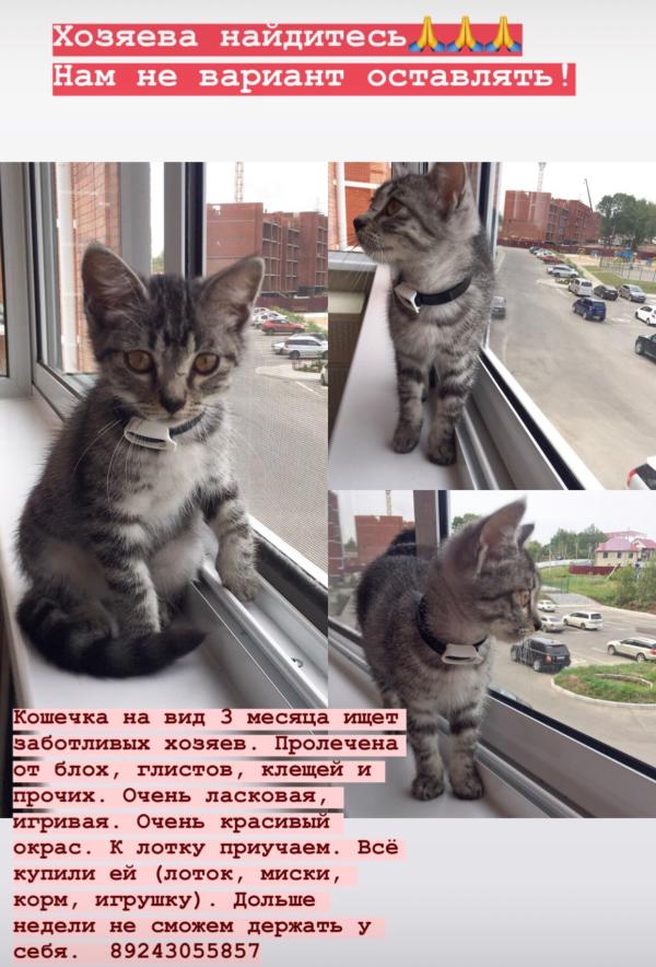 post image