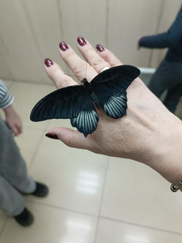 post image 5