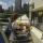 polina_th