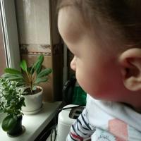 Исрапилова