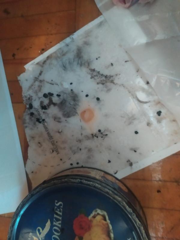 post image 5