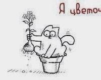 Светик