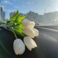 Виктория 