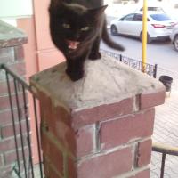 кристина 