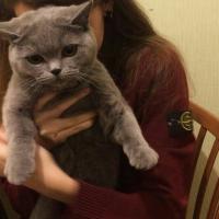 Кристинка