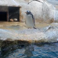 Anastasia Goncharova💕