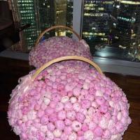 🌸🌸🌸🌸🌸🌸