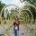 polly_zirael