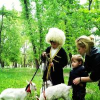Саида