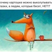 Виктория Магомедова 