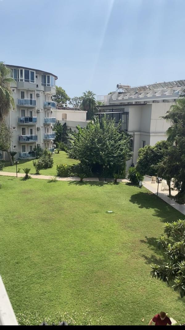 post image 4