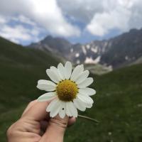 Малена