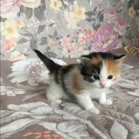 Полина 