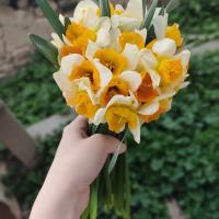 Узлифат🥰