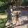 lora_ptashenchuk