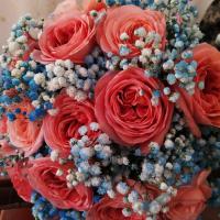 Sumaya