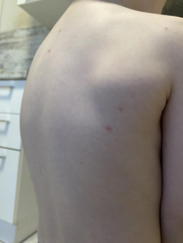 post image 4