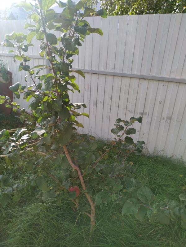 post image 4