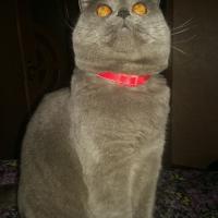 Кристина 