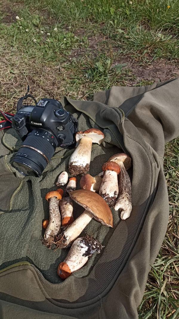 post image 5