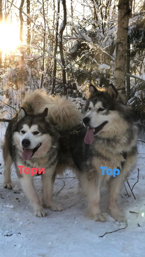 post image