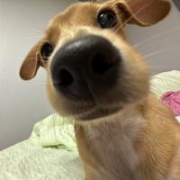 Добрый ребенок