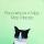 katty_007