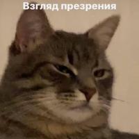 КакТус🌵