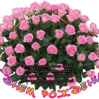 Альбина