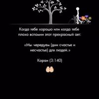 Умм Закария 
