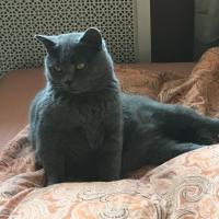 ольга солодова