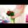 ramzes071015