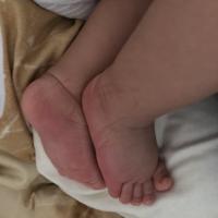 Emily's mom/Нумеролог