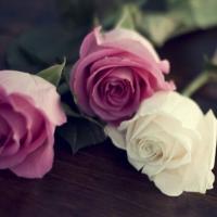 Natalya_s