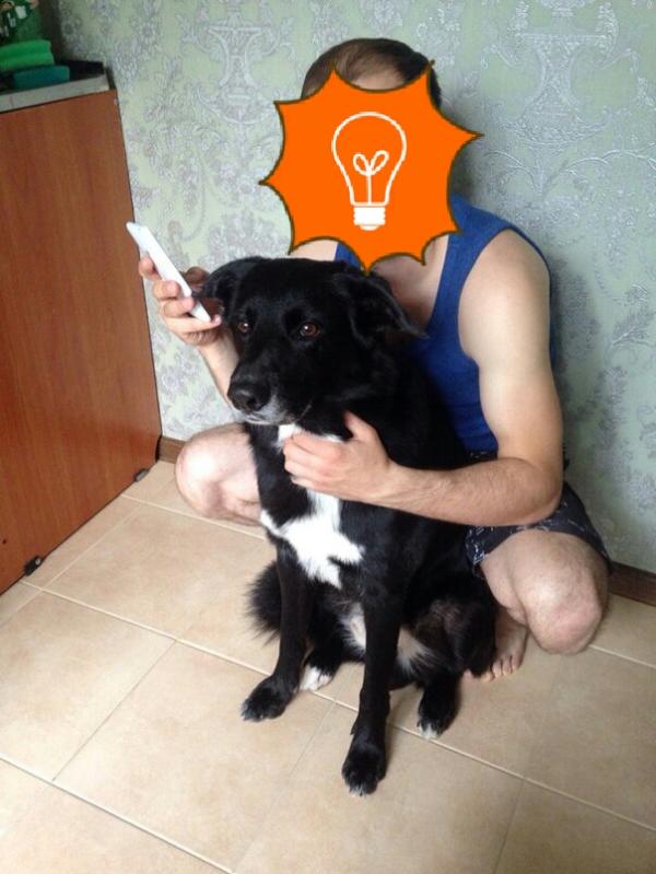 post image
