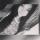 roza442