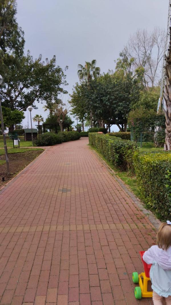 post image 5