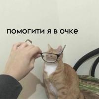 Ю.М.