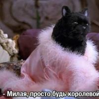 geroynashegovremeni