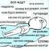 стикер