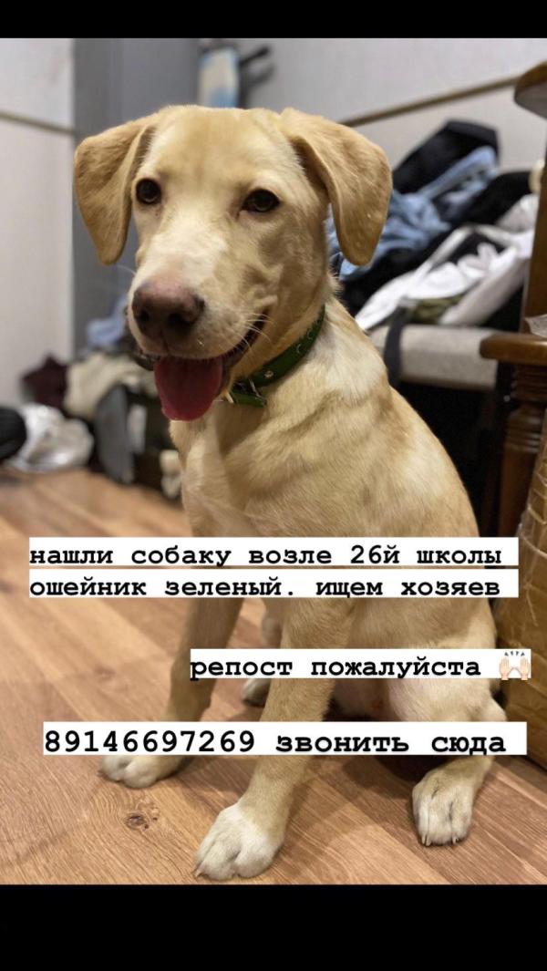 post image