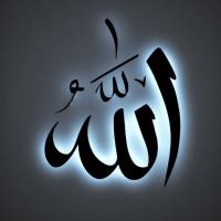يلدز🌿