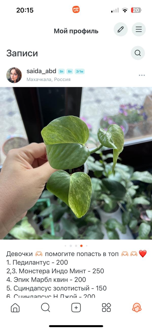 post image 5