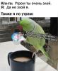 стикер