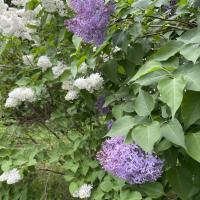 Александра