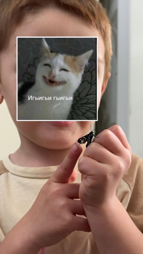 post image 4