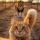 m_omarova