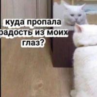 Имя