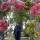 maryam.m.m