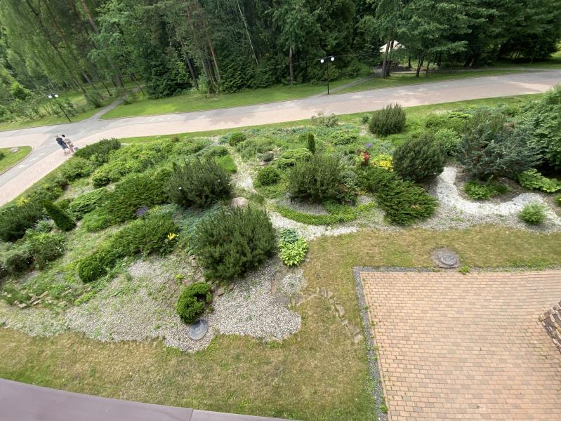 post image 5